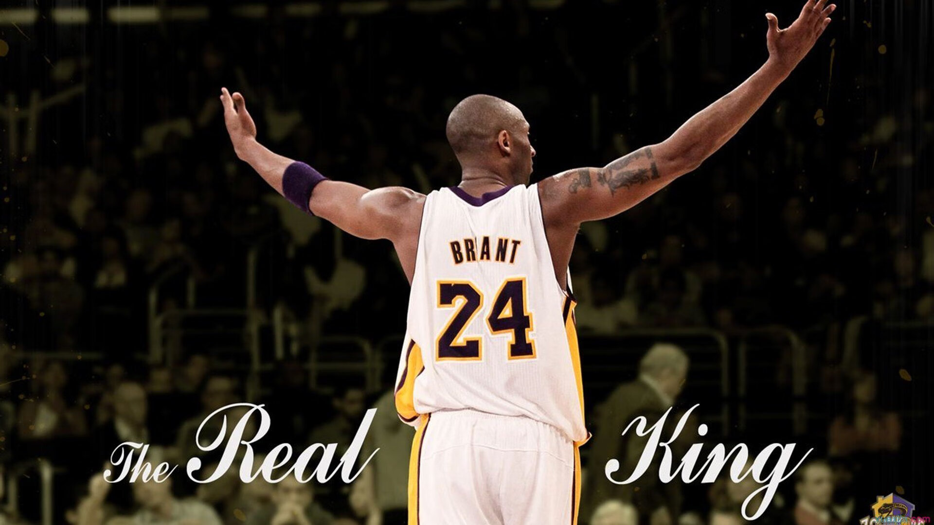 教科书般的坎特与尼斯的胜利,一场战术与意志的完美演绎